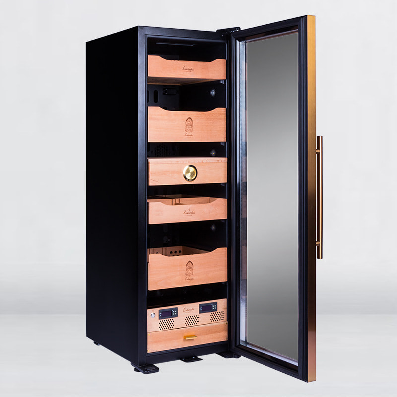 Lubinski RA333 có màu đen vàng với cửa kính trong suốt